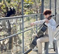 壽山動物園慶生會 黑熊明星隨音樂演奏搖擺