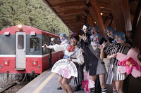 阿里山花季暨森旅季開鑼  31種櫻花品種漸綻放