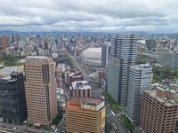 六都加新竹縣市今年329檔期總銷逾8223億 創歷年次高