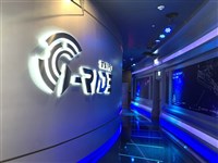 智崴去年轉盈每股賺1.1元 今年將開7座大型設備