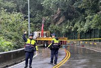 新北新莊壽山路樹倒影響人車 移除後恢復交通