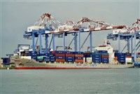 川普關稅戰與紅海危機變數 航商4月運價看漲