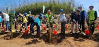 澎湖青螺濕地生態園區造林  1600株樹苗索取一空