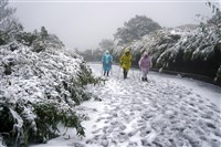國家公園署：春季氣候多變 登山應評估風險