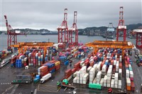 關稅搶運題材助攻 貨櫃三雄漲停、航空雙雄漲逾9%