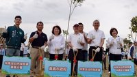 嘉市阿里山林業村整地植樹  形塑開闊森林景緻