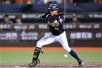 兄弟岳政華二軍尚未守備出賽 平野惠一透露近況