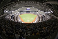 北市下雨大巨蛋又漏水 議員質疑如何迎世壯運