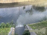 工地灰濁廢水溢流愛河上游  環保局開罰