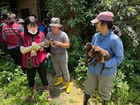 新北查獲非法犬隻繁殖場 重罰116萬8000元