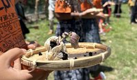 太空旅行7個月 台東紅藜返回原鄉落土