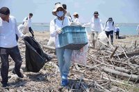 高鐵「集拾行垃」淨灘 清出逾658公斤海洋廢棄物