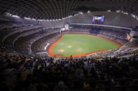 蔡其昌：棒球員若赴中當樣板羞辱國家　球迷吞不下去