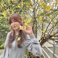 工藤靜香公開最愛台灣鳳梨酥 7月推新音樂作品