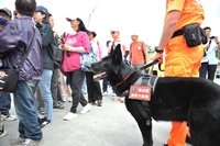 海巡偵搜犬鐵諾退役最後巡禮 遊客爭相合影留念