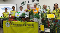 小番茄有望外銷中東 台南25號突破儲運瓶頸