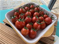 立夏養生要養心 藥師建議多吃紅色食物