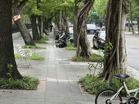 議員指修繕人行道未依比例分配  北市：會跨區協作
