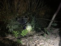 3人赴美濃登山 回程開車翻覆山坡1人意識不清