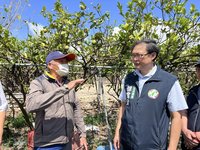 屏東檸檬估減產7成農民恐慘賠  立委現勘籲救助