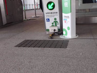 台中捷運綠線導盲磚視障者無感 中捷年底前改善