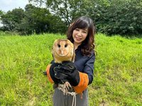 紀錄片走進校園尋動物同學 白心儀樂為「放鳥人」