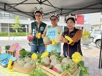 崙背洋香瓜減產2成 鄉公所10日路跑帶民眾認識產地