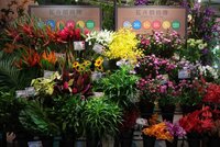 屏東農業物產館花卉展  母親節DIY配花