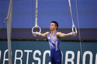 體操世界盃瓦那站 林冠儀吊環第4獎牌擦身過