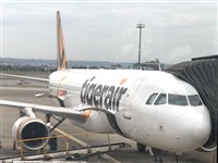 台灣虎航10/26起  託運滑雪板等加收550元手續費