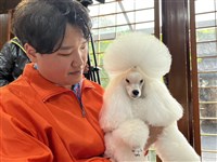 消保處訂犬貓美容定型化契約 業者應說明收費方式