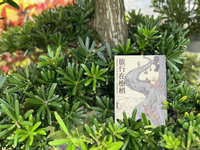 藍永翔「旅行在樹梢」 揭20年樹冠層研究筆記