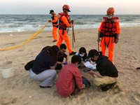 金門4月鯨豚擱淺5起  創近3年同期最高