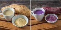 糧食作物加工應用 農試所與嘉大研發益生菌甘藷粉