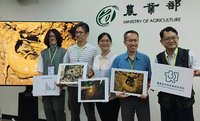 魚池琴蛙解密 雄蛙築巢引雌蛙、配對到產卵僅30分鐘