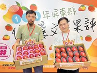 屏縣愛文芒果評鑑  方冠文二度奪冠注重自然熟成