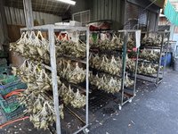 食藥署端午稽查  業者粽子未標示豬肉產地遭罰