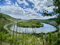 氣候變遷、消費萎縮衝擊 逾3成德國葡萄酒莊關閉