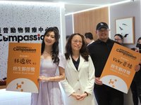 林逸欣迎3年婚 享受自由把愛貓當小孩