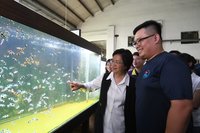 神農獎得主科技養殖小丑魚 外銷14國