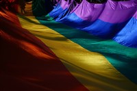 未先通過面談辦理結婚登記 兩岸同性伴侶興訟敗訴