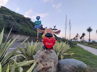 失竊「鹿小愛」尋回待命  公路局揭身世之謎