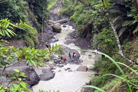 阿里山公路車輛衝落20米深山谷 駕駛不治