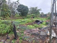 男欠繳罰單等691筆 礁溪菜園580萬元拍定