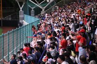 花蓮棒球場傳2起性騷案 縣府研議增設監視器