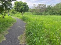 議員批公園雜草叢生如墓仔埔  竹市府：加強巡檢