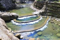 南投林業分署治理林班融合生態  獲全球建設大獎