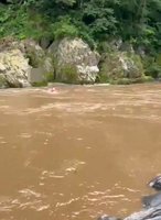 新北烏來大雨溪水暴漲  釣客受困沙洲、消防救出