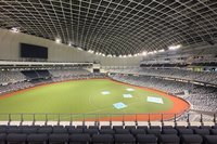 職棒套票、登山單車主題行程 業者搶運動旅遊商機