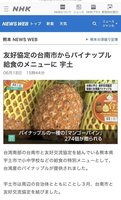 台南贈鳳梨供日本宇土市學生品嚐 獲NHK報導